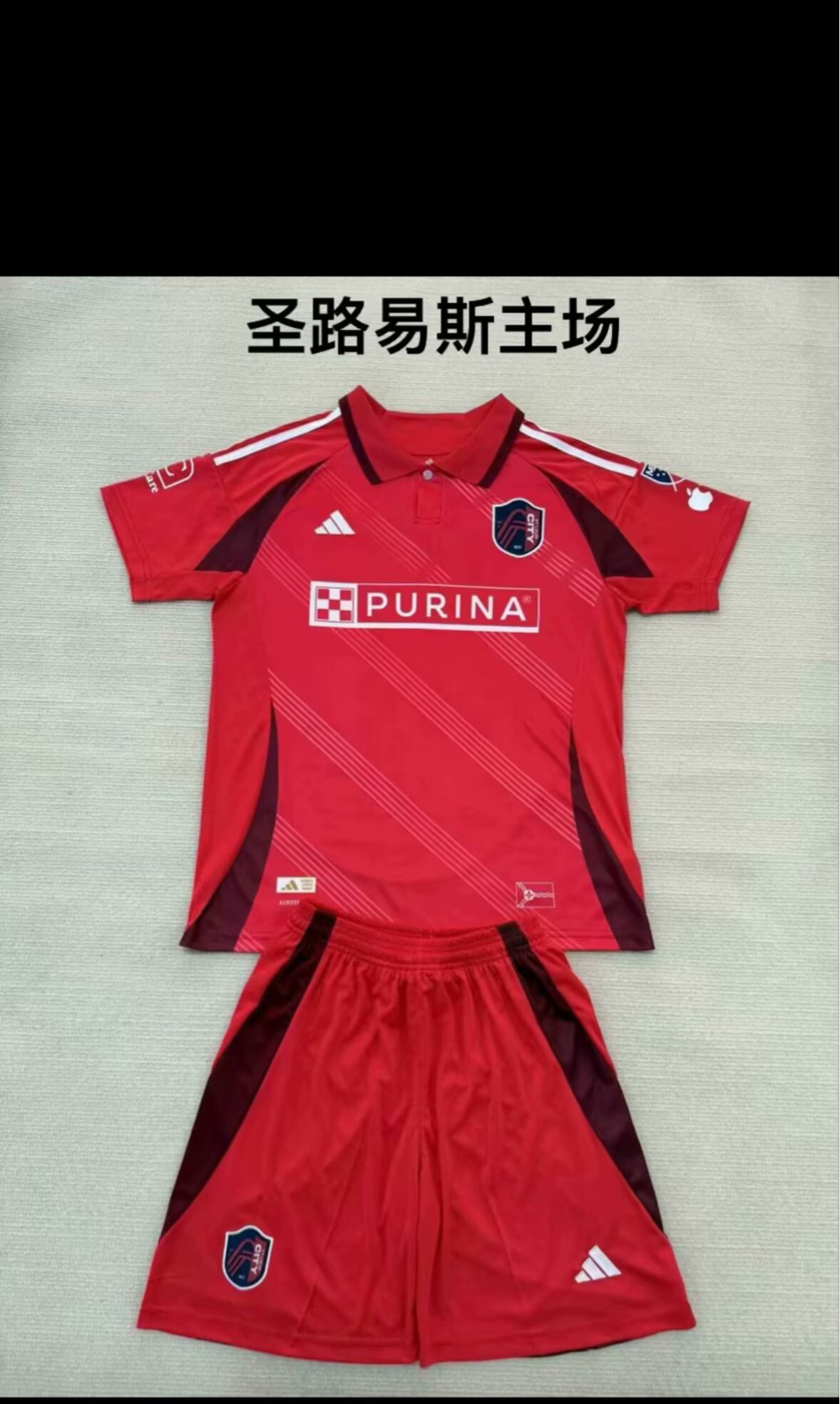 24/25 圣路易斯成人套装主页